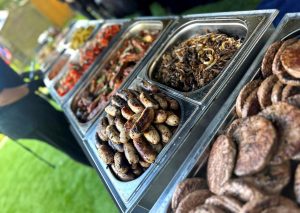 Hog Roast Shropshire